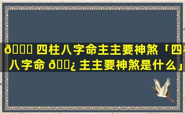 🕊 四柱八字命主主要神煞「四柱八字命 🌿 主主要神煞是什么」